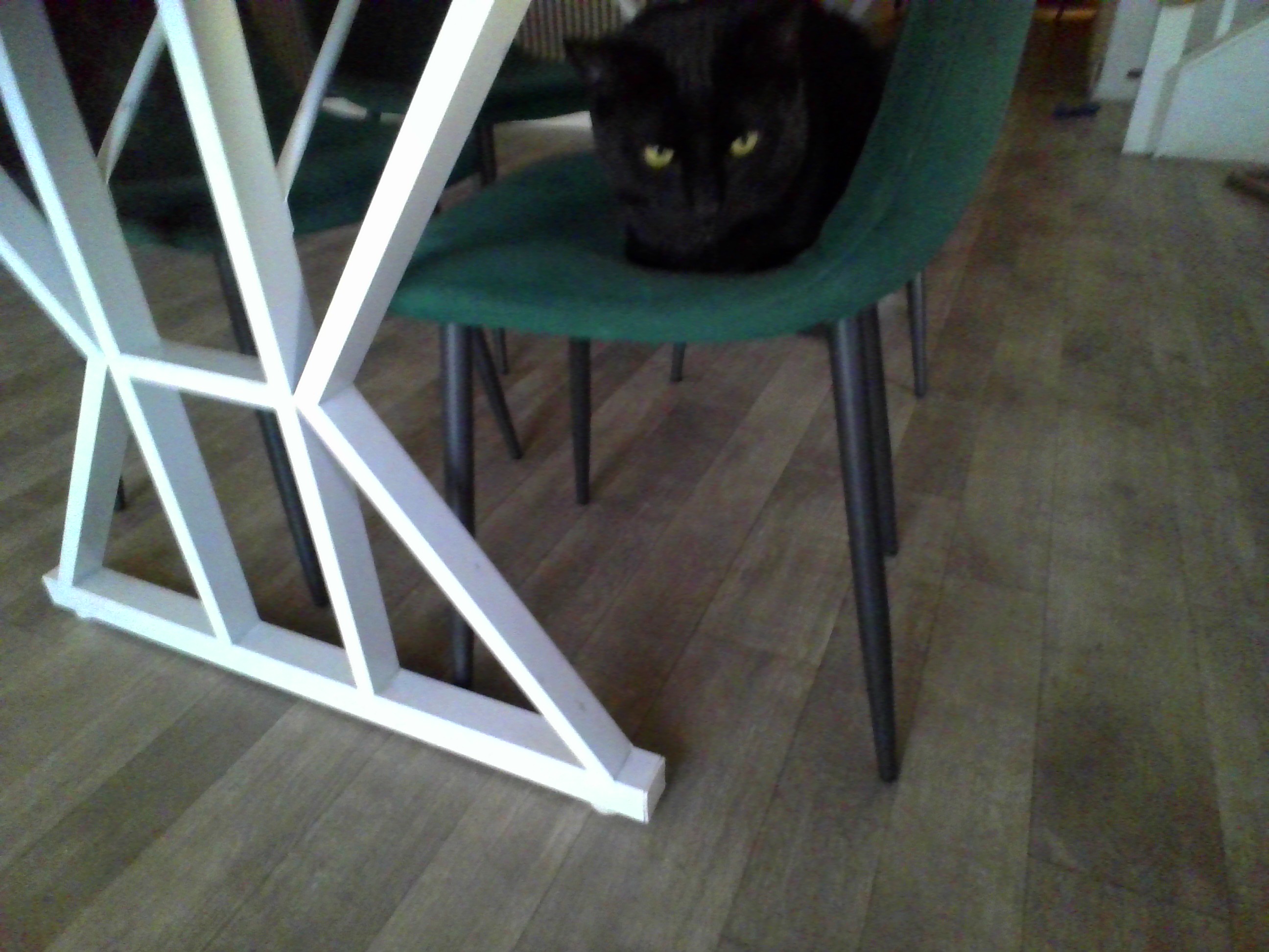 Lord Jesper the Shadow Sultan