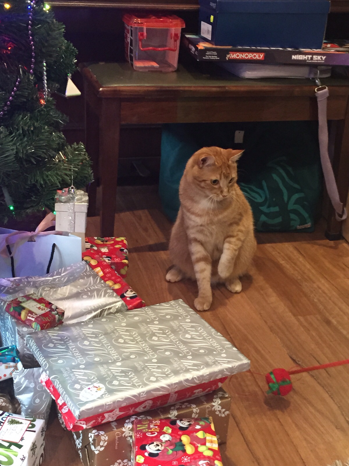 Tyson, Guardian of the Gifts