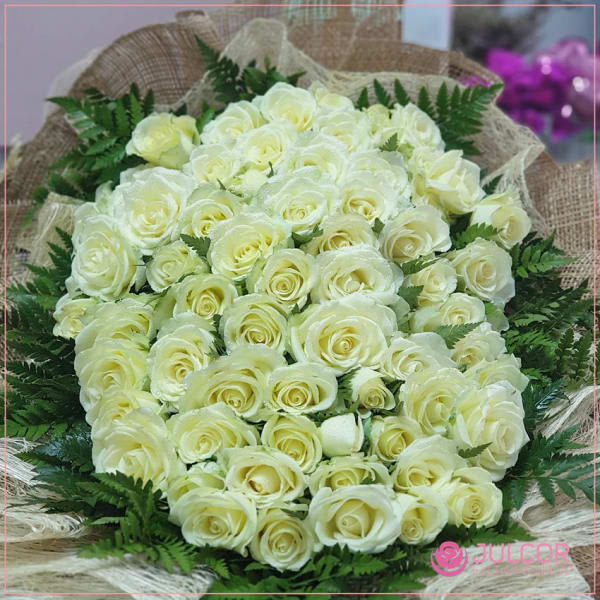 White Rose Grandeur thumbnail 4