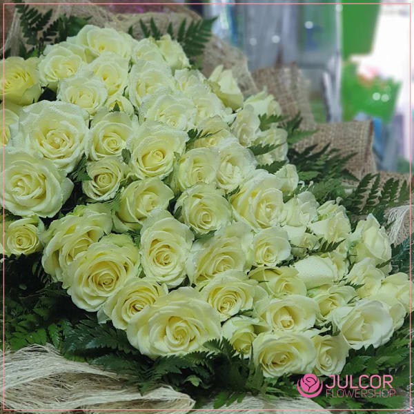 White Rose Grandeur thumbnail 5