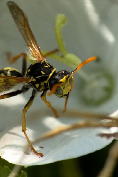 cvqnxf9fi5pwfjcl7mjd