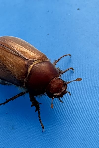 e94jdgdgrll4xbbxoqzy