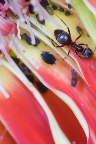 eyvykpe76jpzmg6fljmz