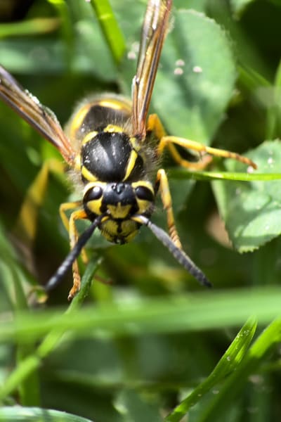 gr3qlo9cshdngwz49wzx