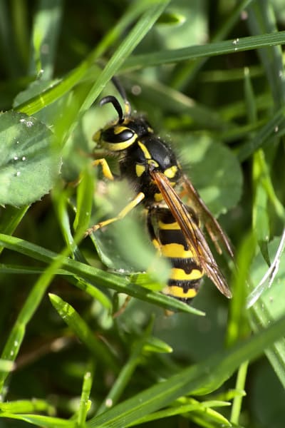 i3vp7sv3yqjt1swzkm2w