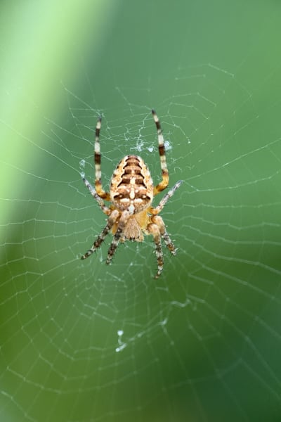 ipoapcjgmpfd1vew0ggm