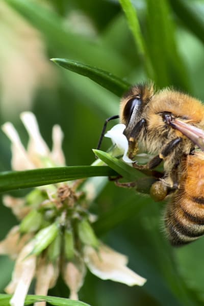 jug3f0ztk9h1mz2slonz