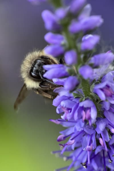 jxxj4ye6efqla1f3efil