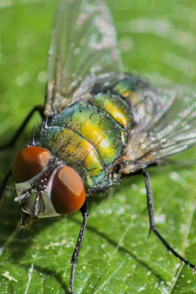 oylcz3uulf1ii7td4oxo