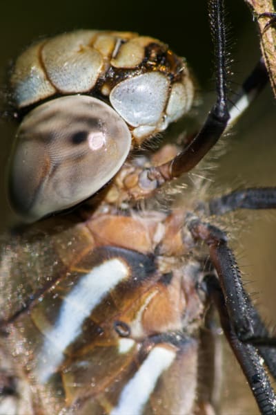 q33ug1xws6aivtbdqk2l