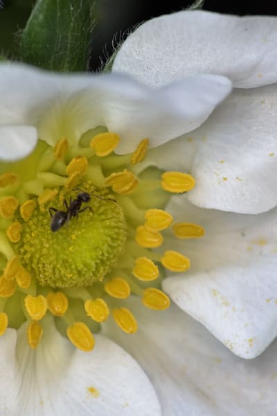 qebk8lbsfxdfxhpyyicj