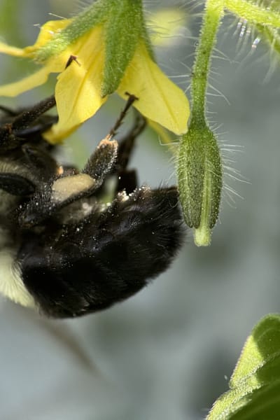 qsj6s6cpy0zmay8qmhdu