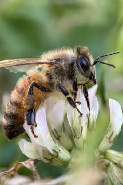 te1qljc0wkywrexi1urx