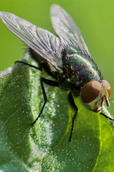 tuorgd5k8atqdqryd5yu