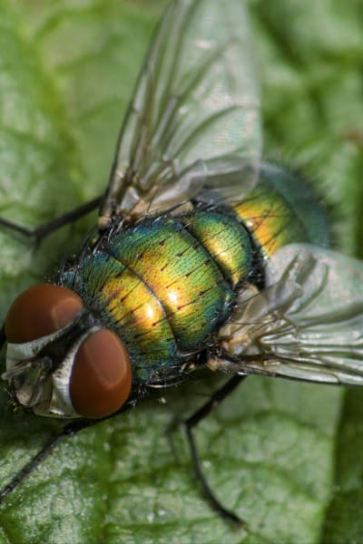 tz9hl4fottr75cahmnb6