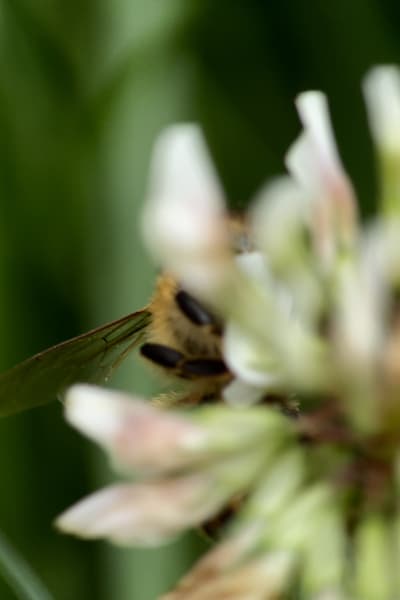 udcccf78pqgchuwzcxn8