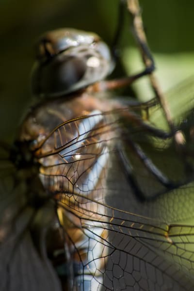 v6poqdtgou4b0a9gp42j