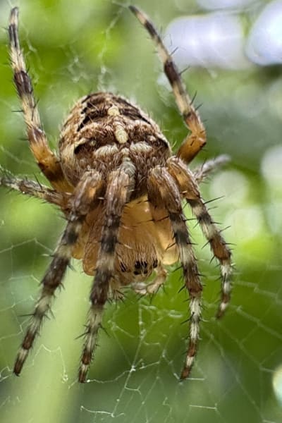 wgwrz9ftcomjyoiainaw