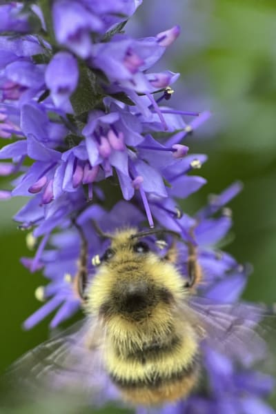 wwyj3sgzsvwhnzeehk7u