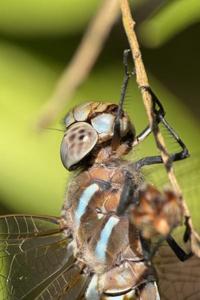 xk2cc8i4cc10byv6zgmc