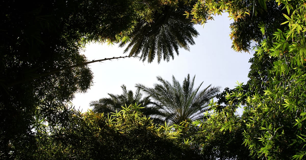 Was man in Marrakesch im April 2026 tun kann : 10 unverzichtbare Aktivitäten