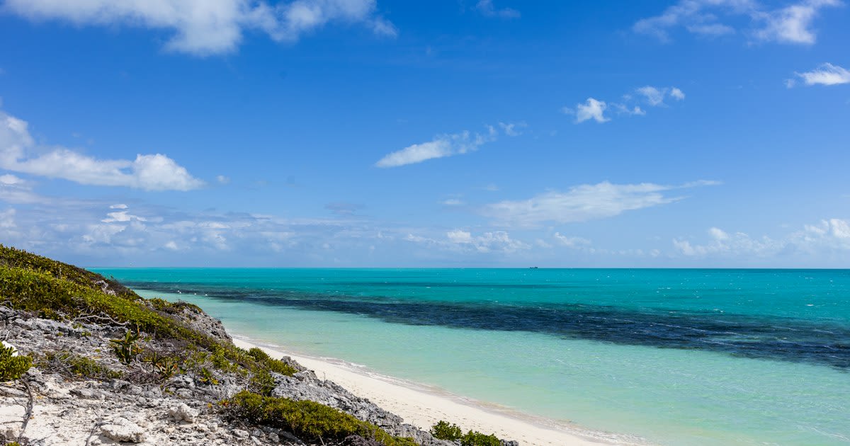 The Best Airbnbs in Turks and Caicos for Group Trips, Family Getaways, and Solo Adventures
