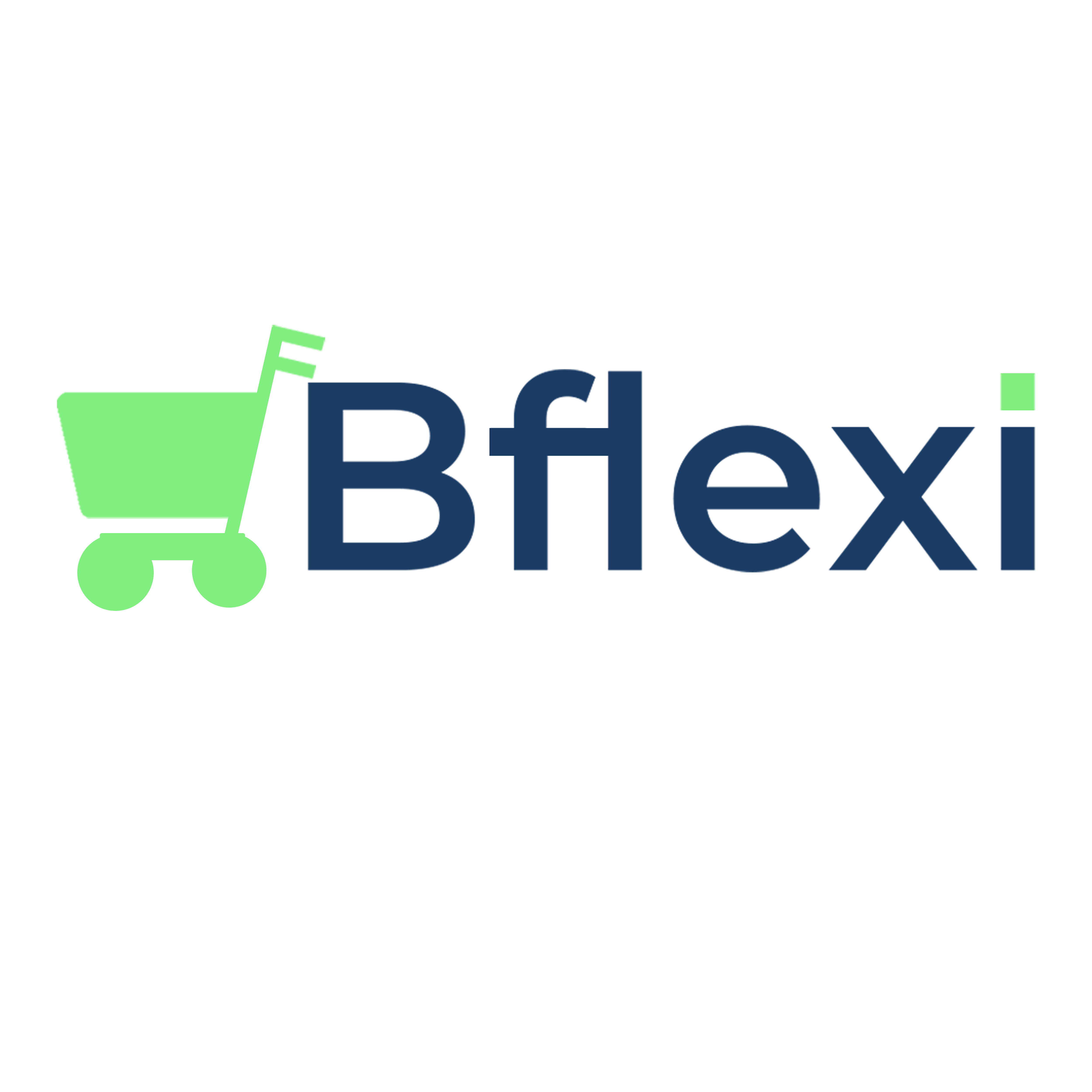 Bflexi Ltd