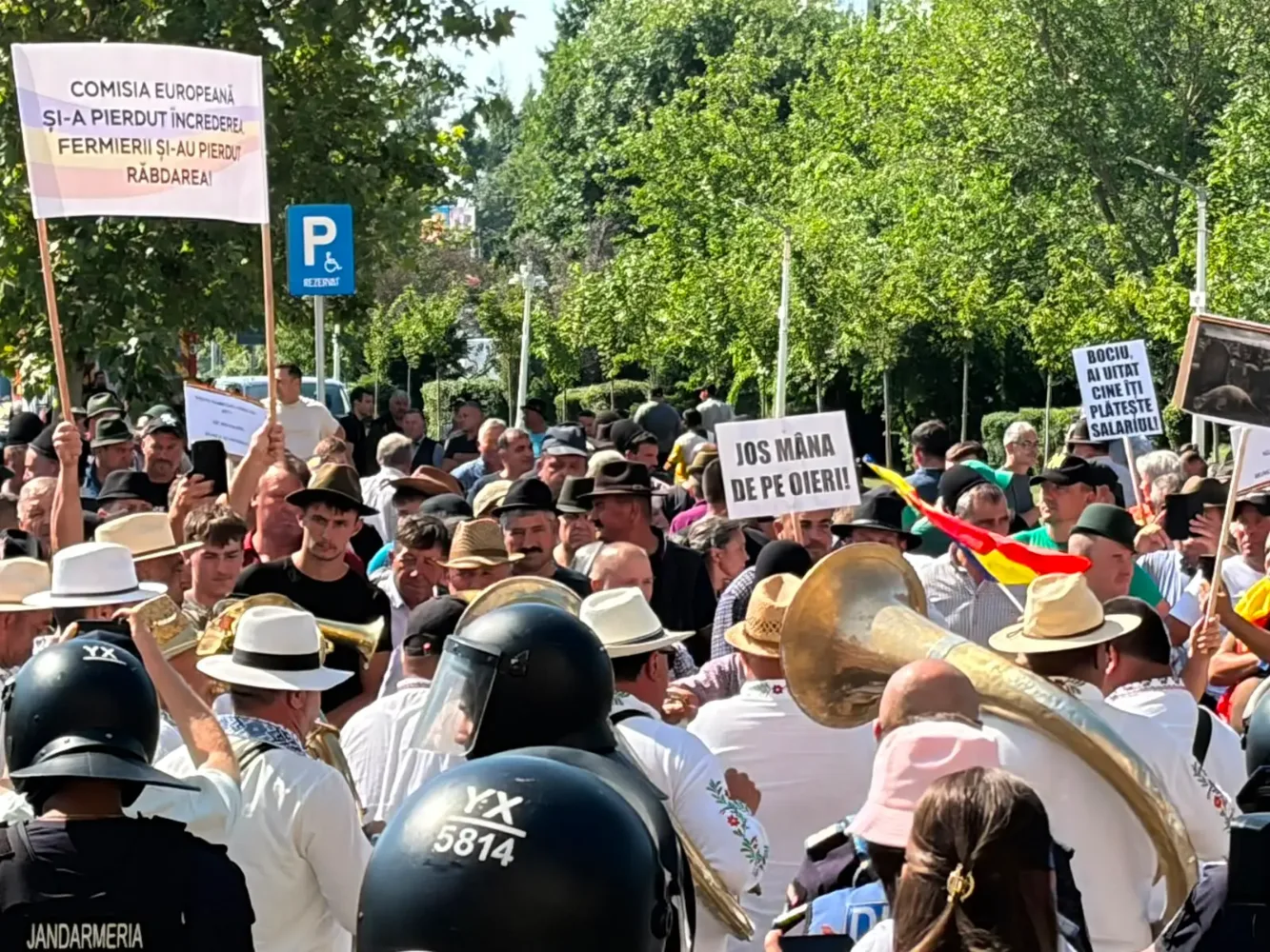 Mii de fermieri protesteaza in Capitala dupa interzicerea exporturilor de oi si capre. ANSVSA ii ignora pe crescatorii de ovine si caprine