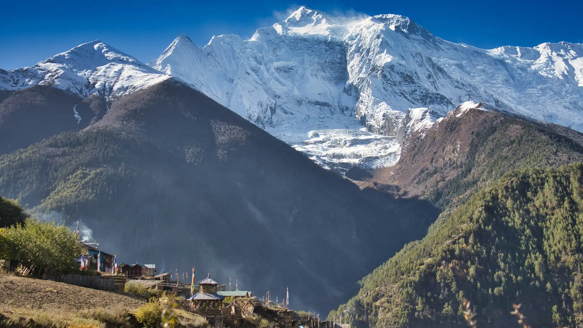 Annapurna Base Camp Trek - 11 Days 4