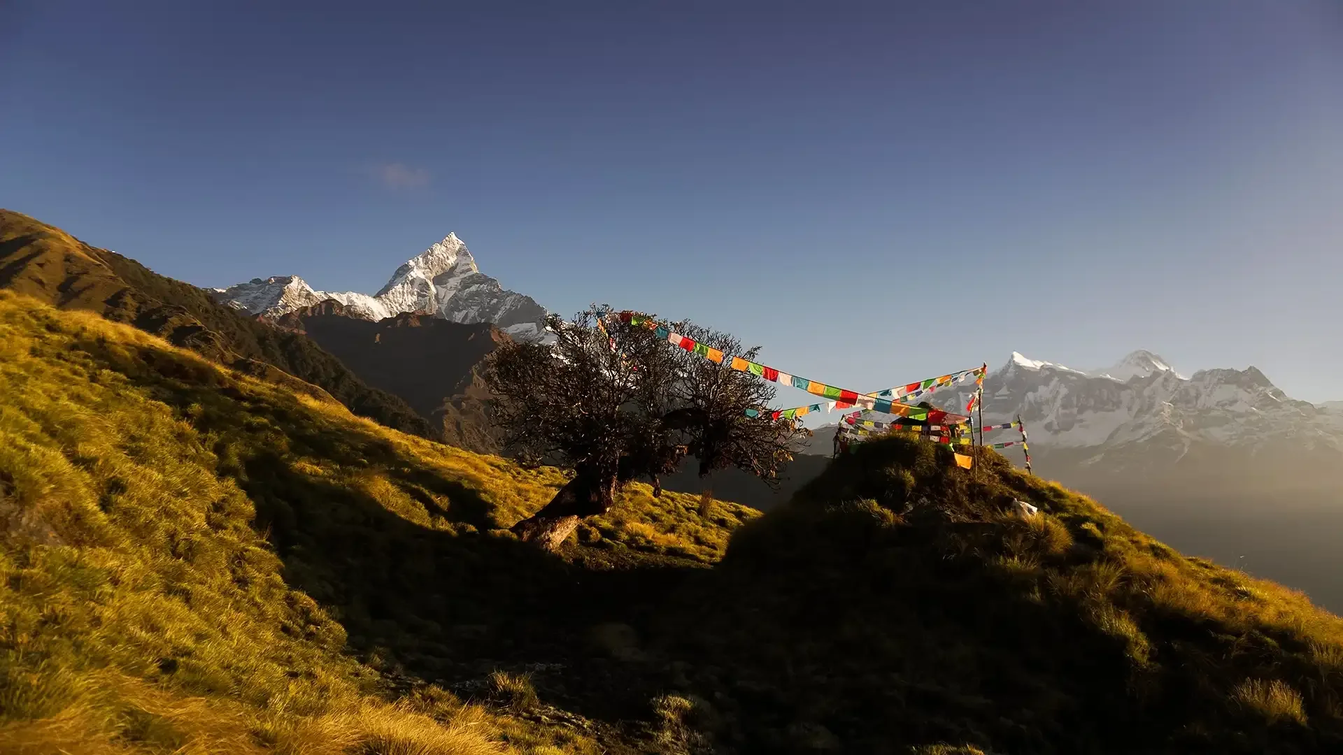 Nepal Trekking Permits & Costs: What You Need to Know Himalayan story