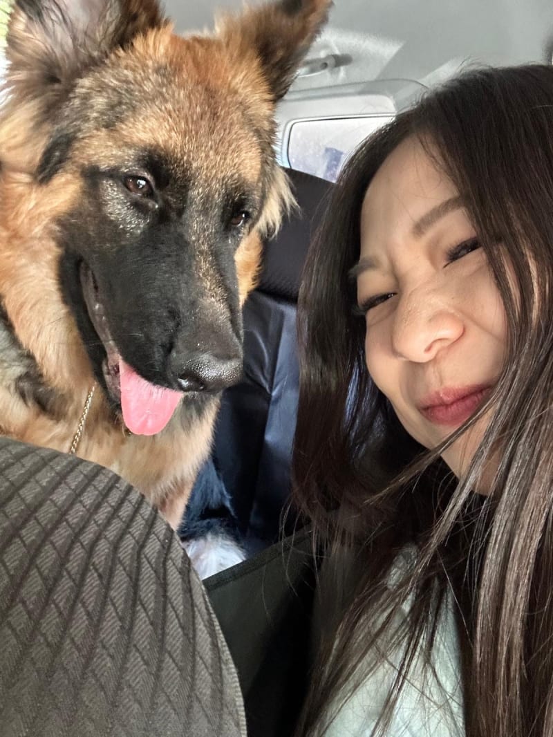 Paw'O story