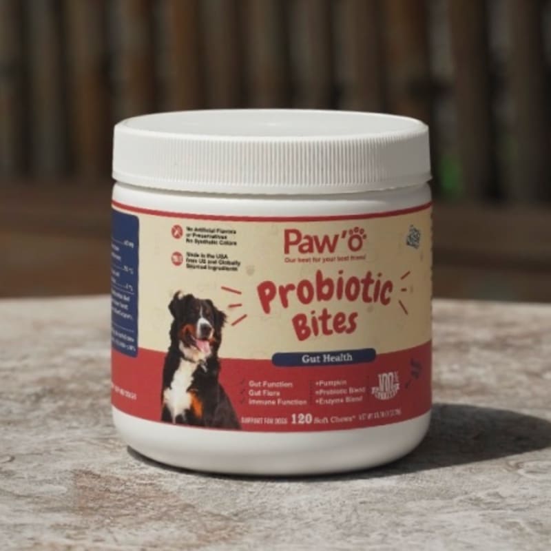 Probiotic Bites