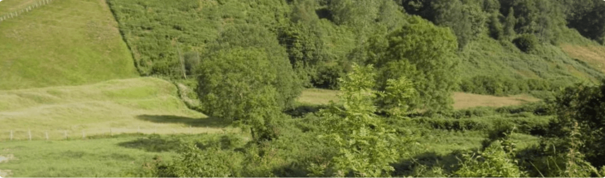 Terreno en Canales 2, Bimenes