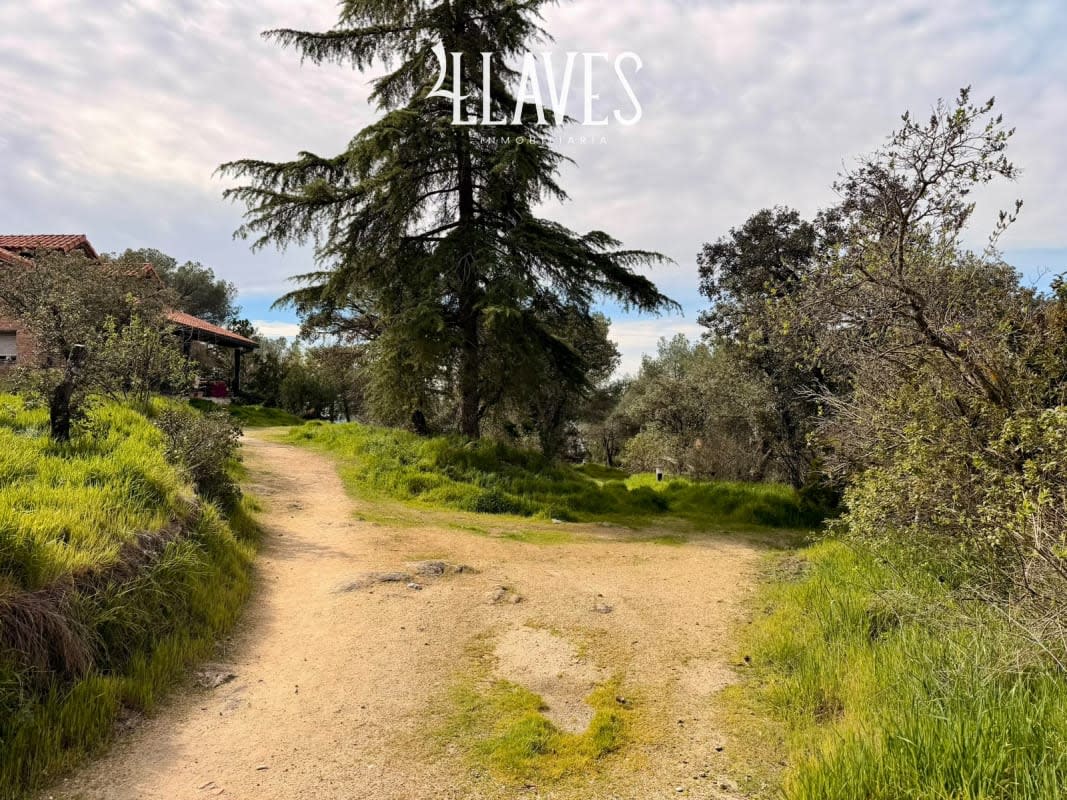 Chalet independiente en Venta en C/Caravaca - Torrelodones - Imagen 10