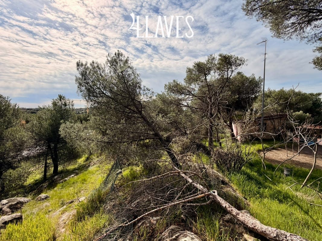 Chalet independiente en Venta en C/Caravaca - Torrelodones - Imagen 19