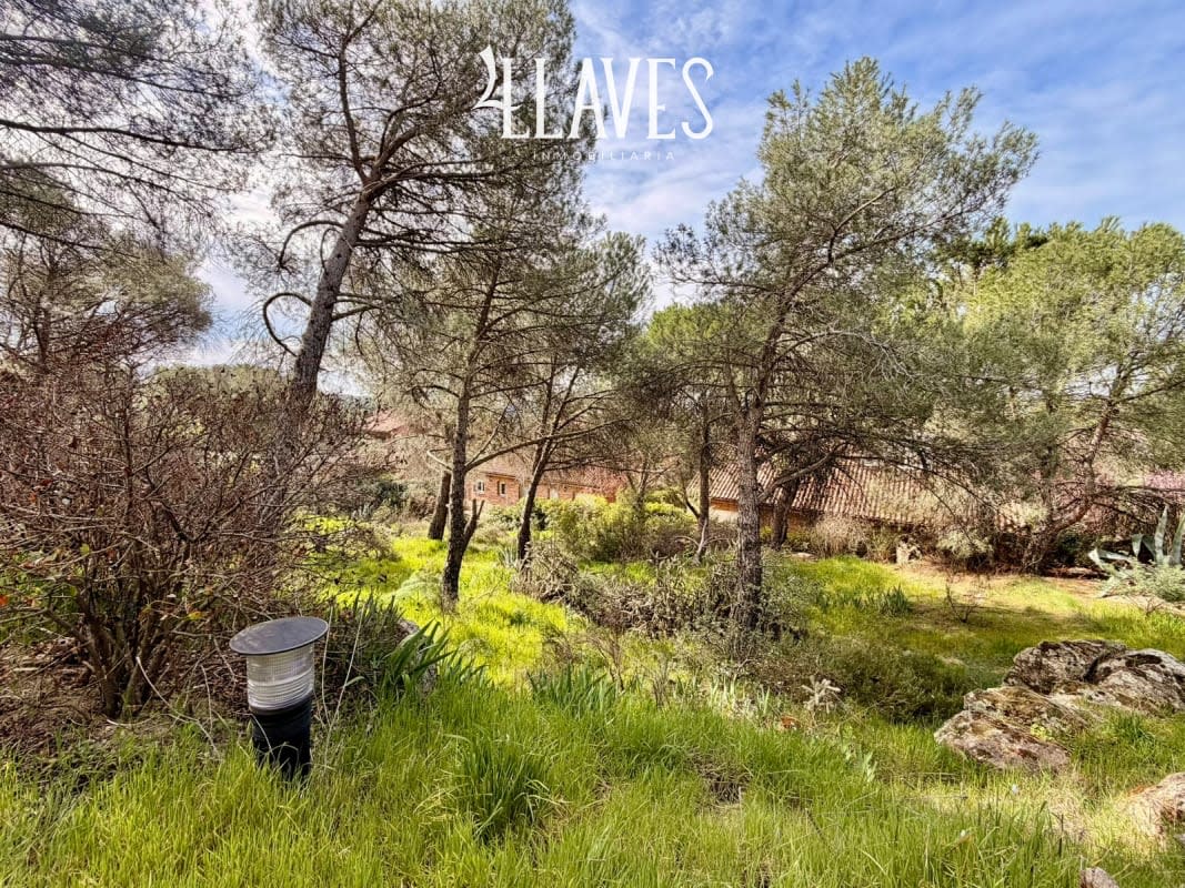 Chalet independiente en Venta en C/Caravaca - Torrelodones - Imagen 25