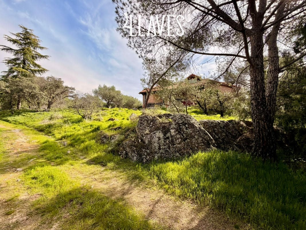 Chalet independiente en Venta en C/Caravaca - Torrelodones - Imagen 29