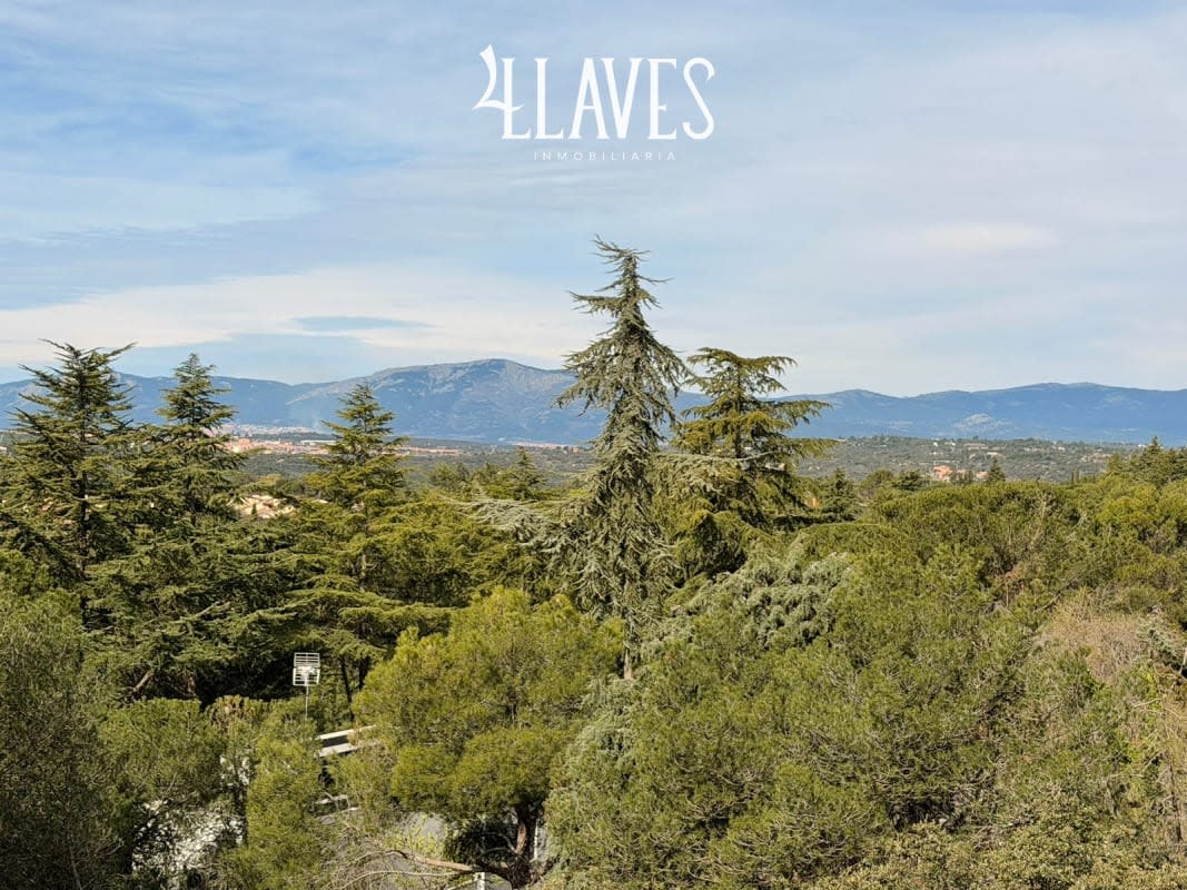 Chalet independiente en Venta en C/Caravaca - Torrelodones - Imagen 51