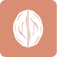 GTM Walnut