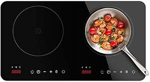 Meilleurs Plaques induction portables 2026