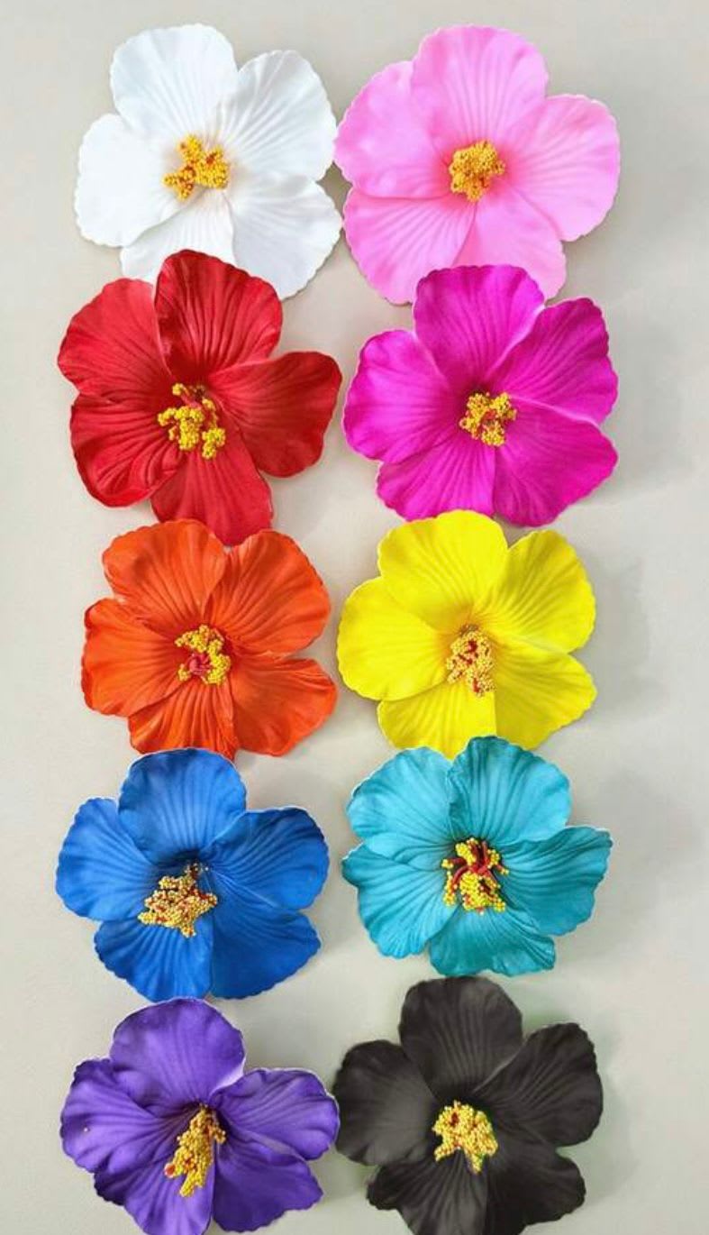 Pinces à cheveux fleurs hawaïennes