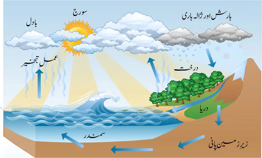 بانگِ درا 5: ابرِ کوہسار