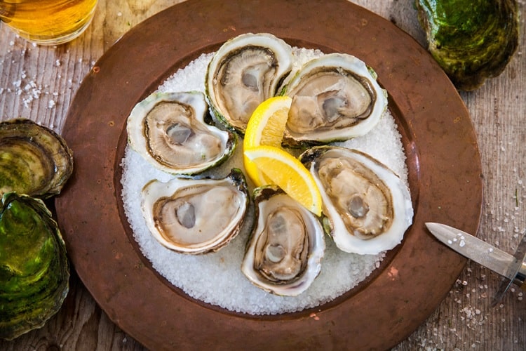 Shell Oyster Bar