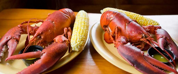 The Lobster Shack