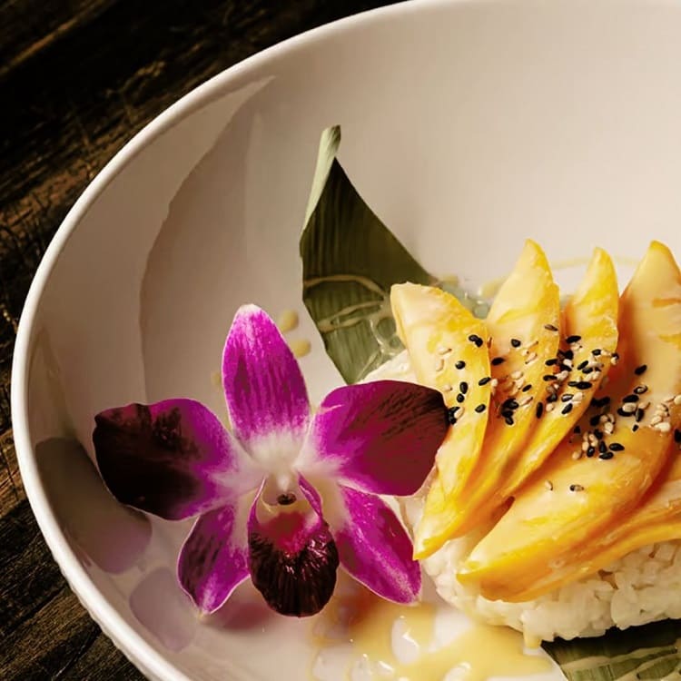 Blue Fish is specialized in providing Japanese inspired cuisine, especially in seafood form