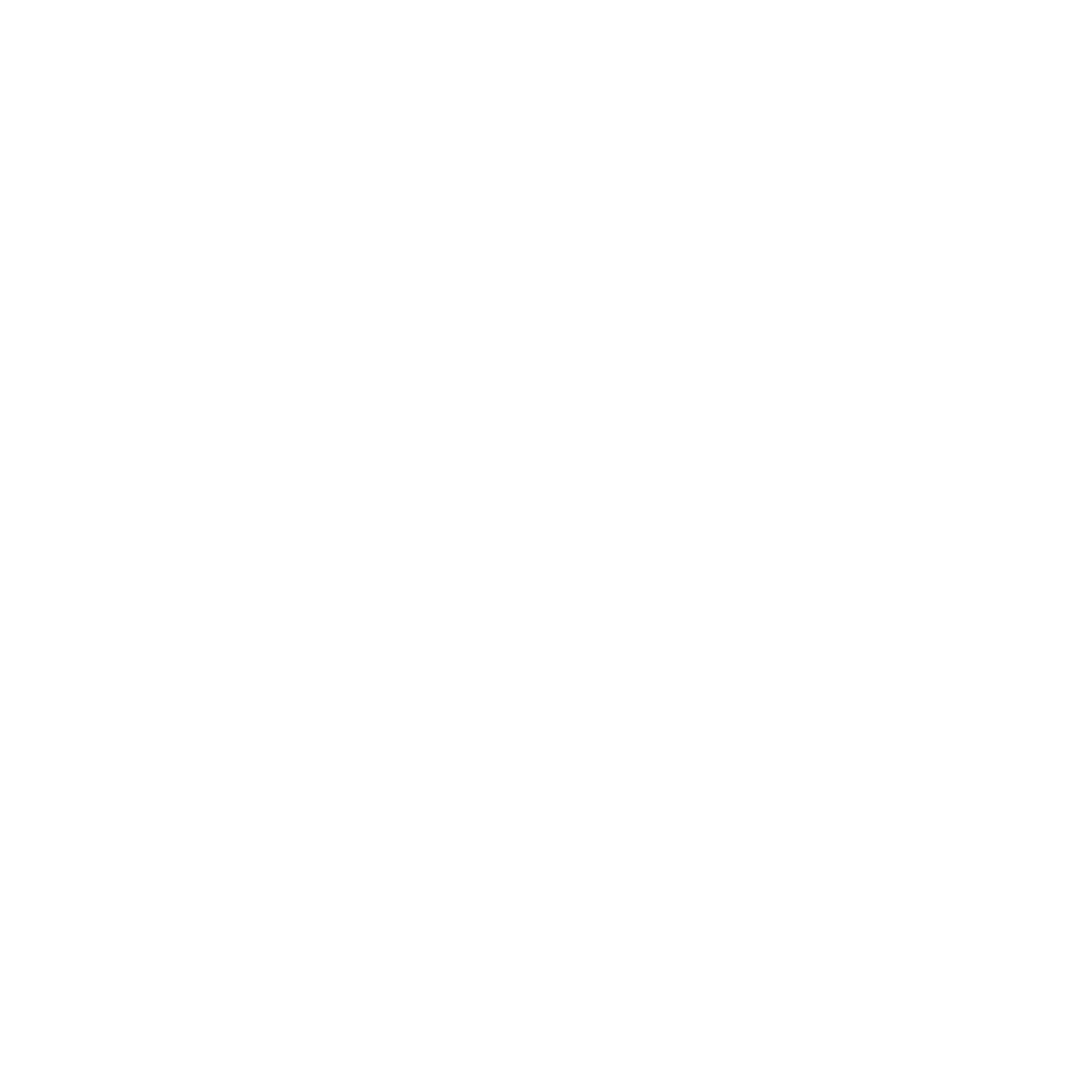 Studio Flaws