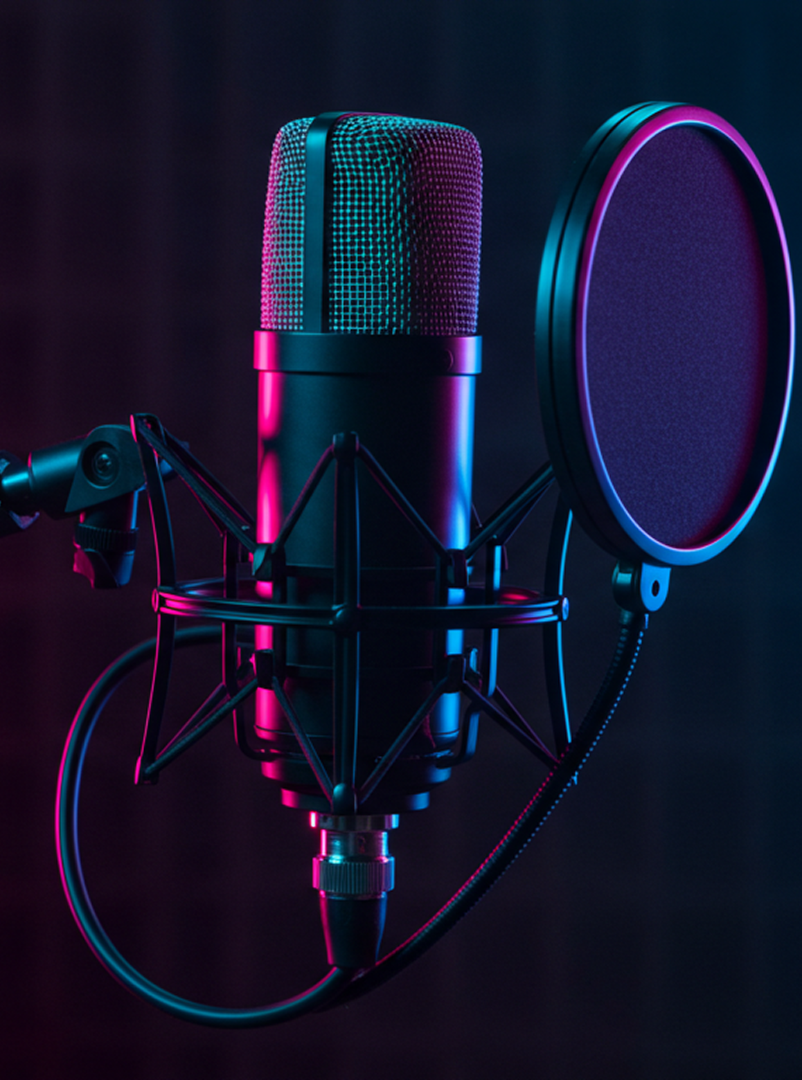 microphone