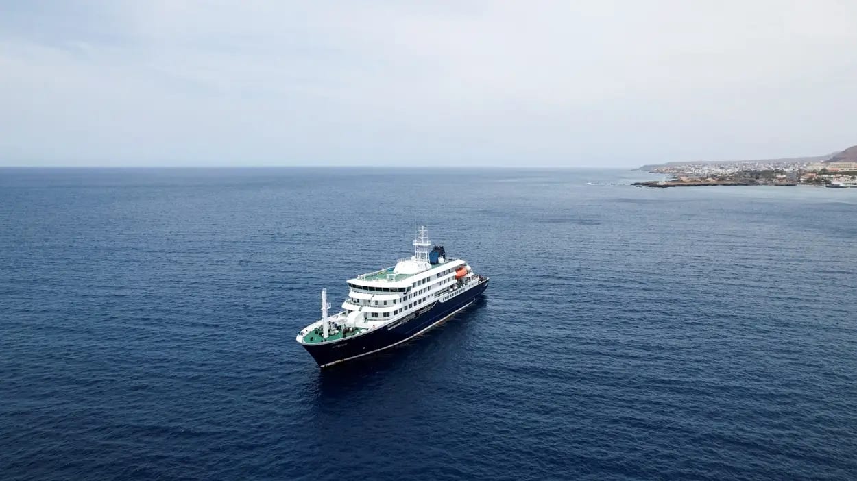 Cruise Ship Andes-Virus Cluster Tests the Gaps Between Borders