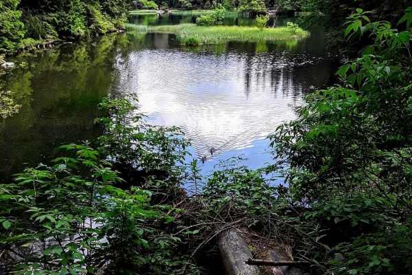 Exclusive: Warner Bros. to shoot fantasy film World's Eater in Slovakia