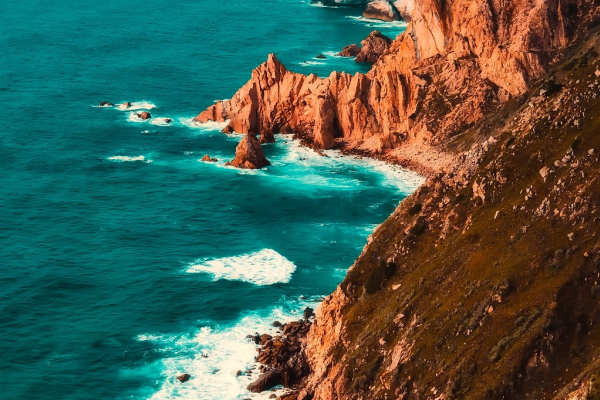 Spotlight on Portugal